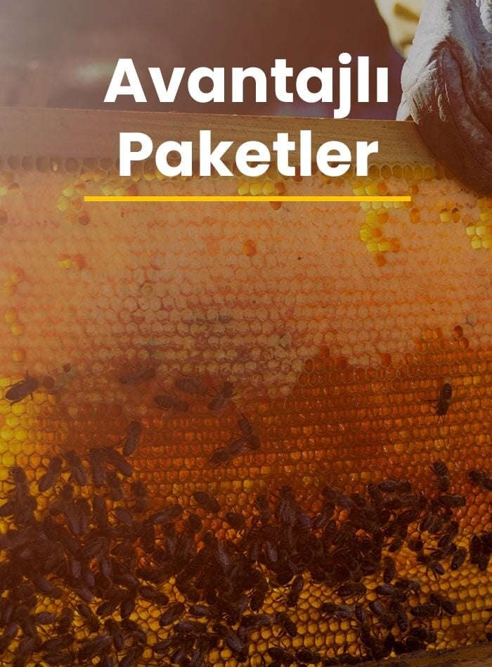 Avantajlı Paketler
