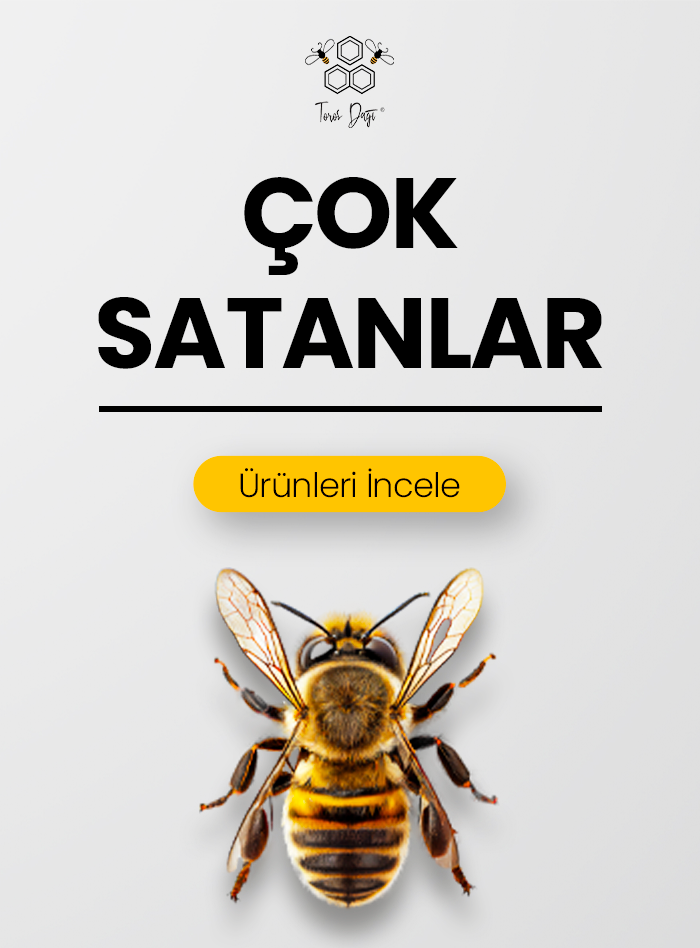 Popüler Ürünler