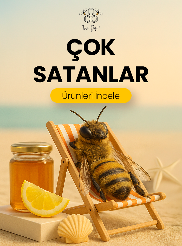 Popüler Ürünler