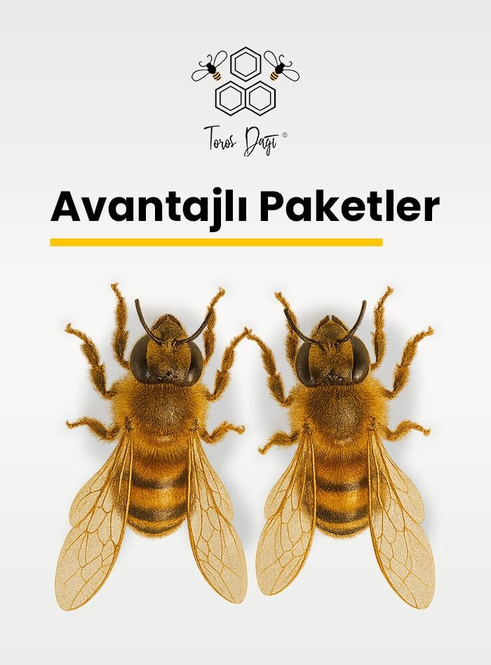 Avantajlı Paketler