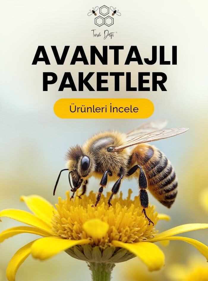 Avantajlı Paketler
