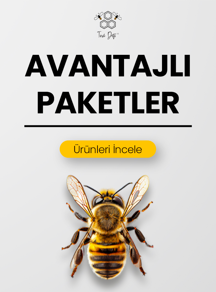 Avantajlı Paketler