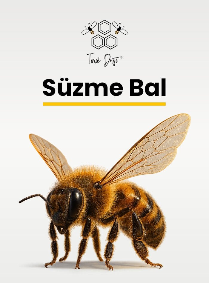 Süzme Bal