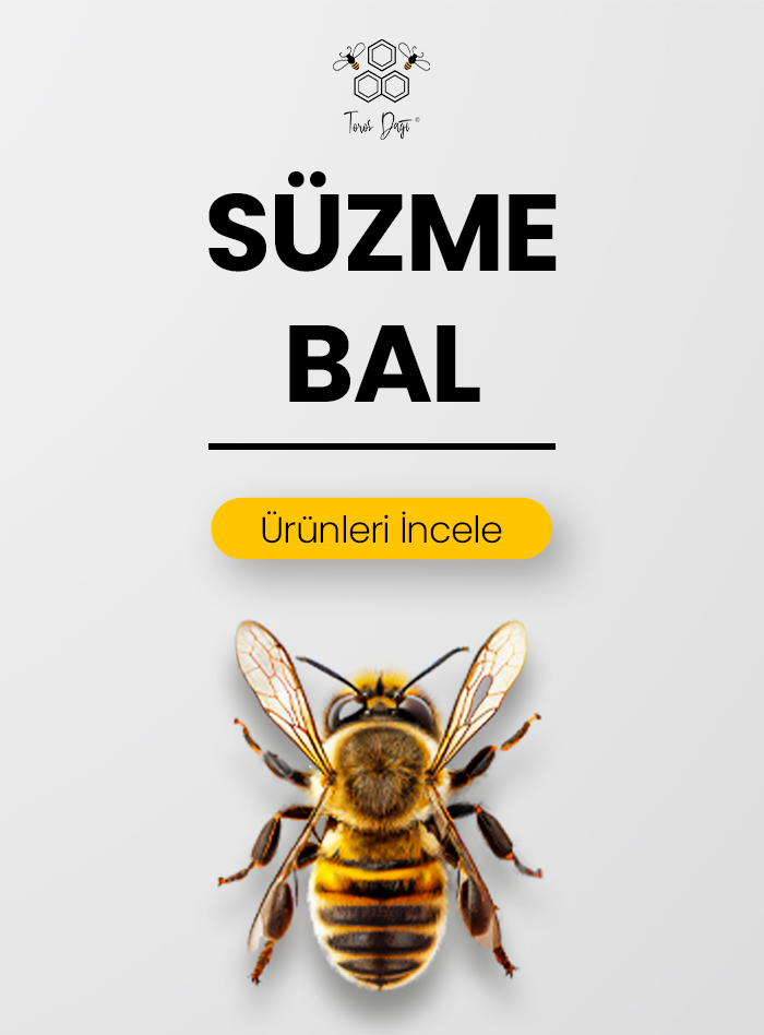 Süzme Bal
