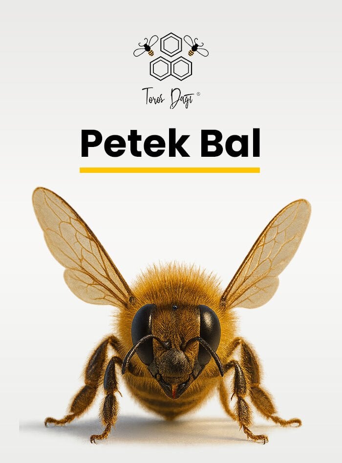 Petek Bal