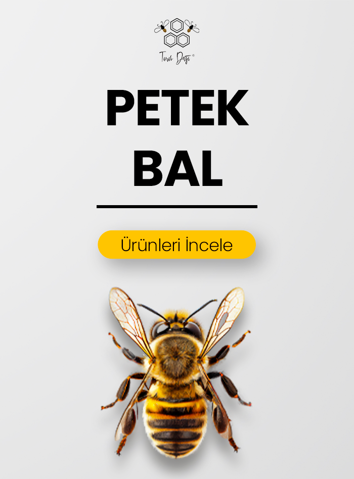Petek Bal