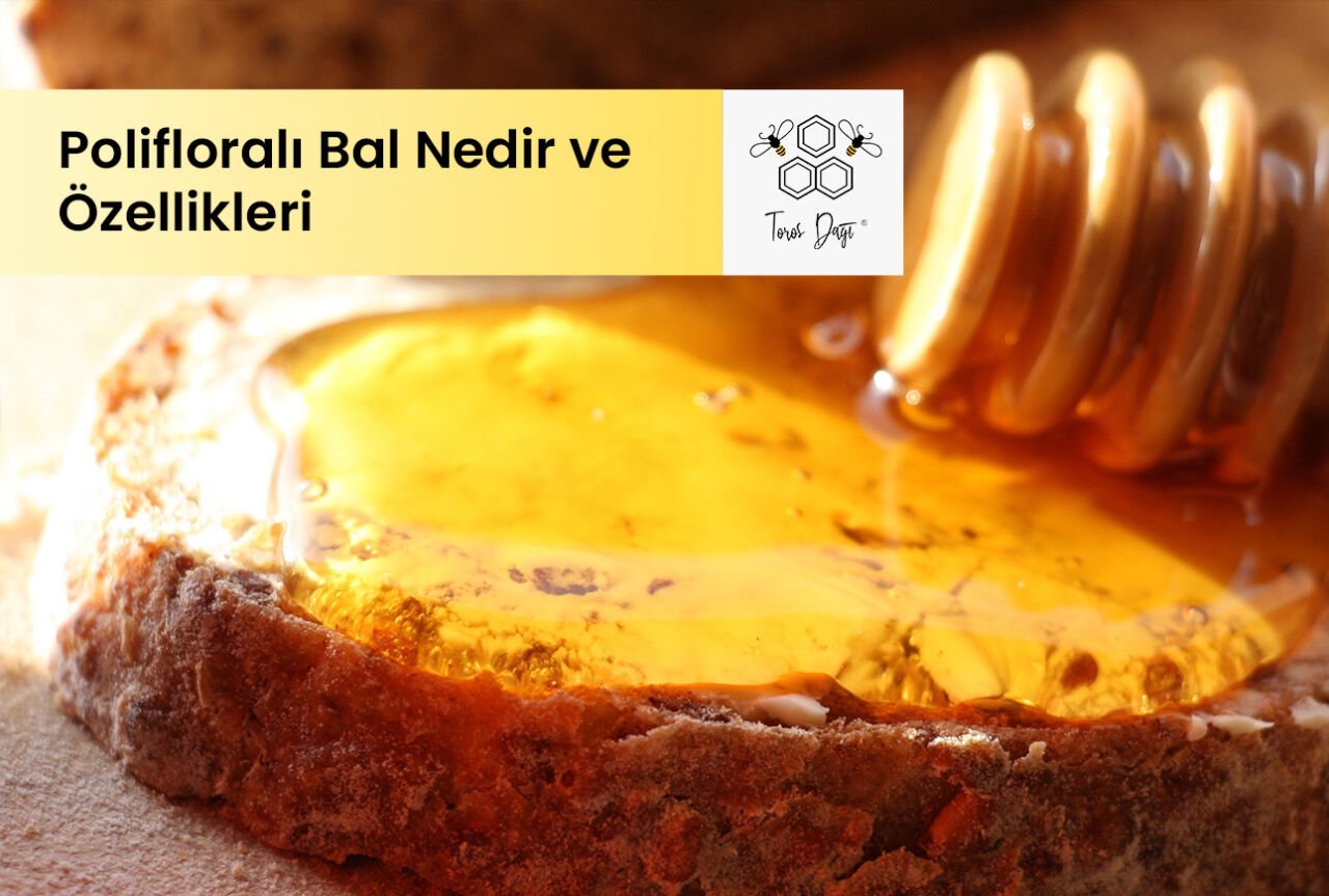 Polifloralı Bal Nedir ve Özellikleri