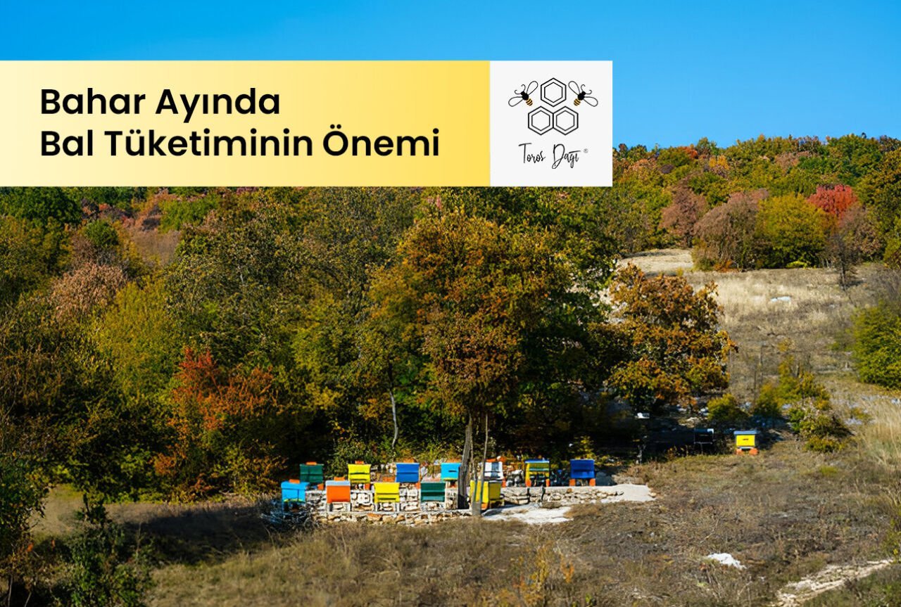 Bahar Ayında Bal Tüketiminin Önemi