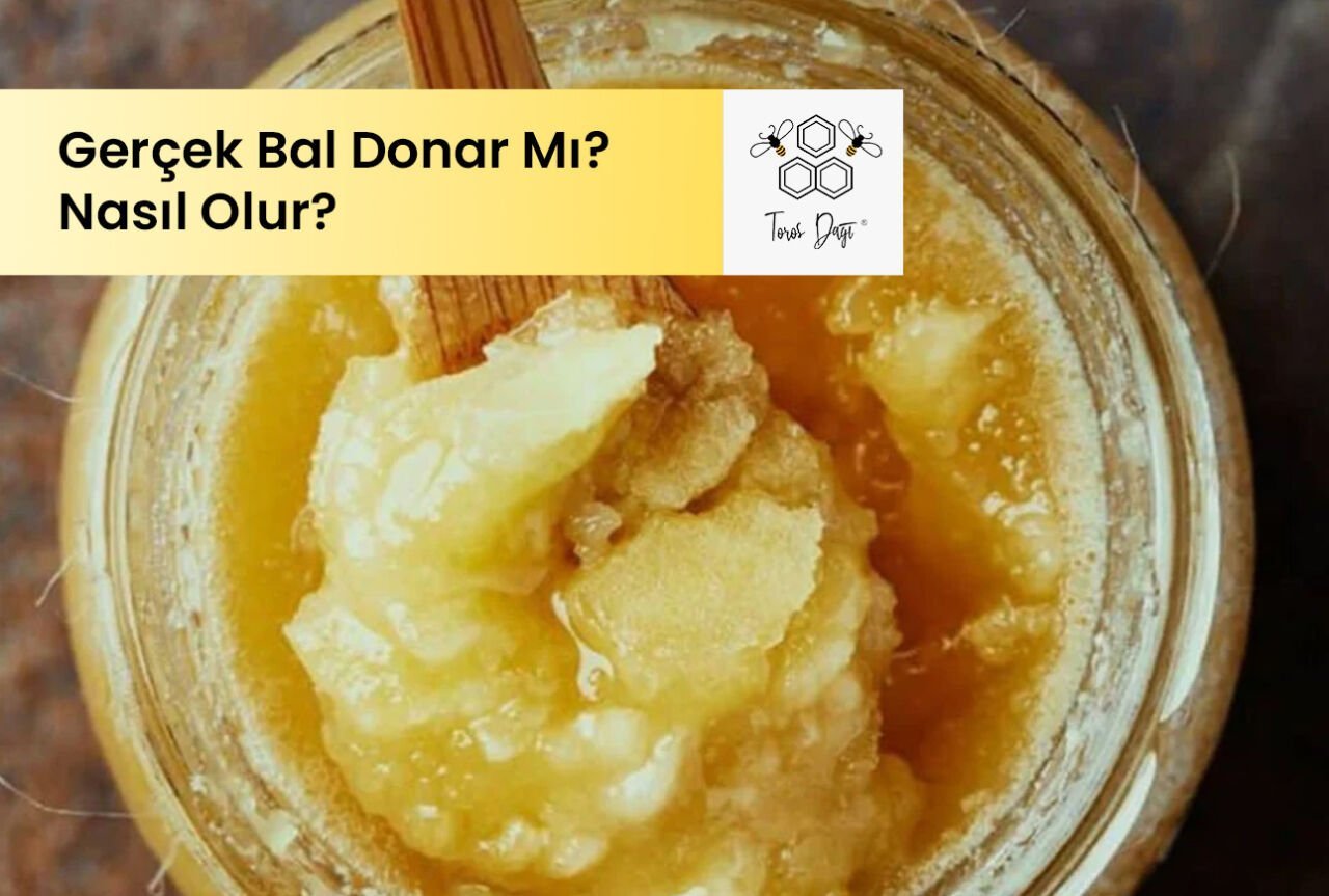 Gerçek Bal Donar Mı? Gerçek Bal Nasıl Olur?