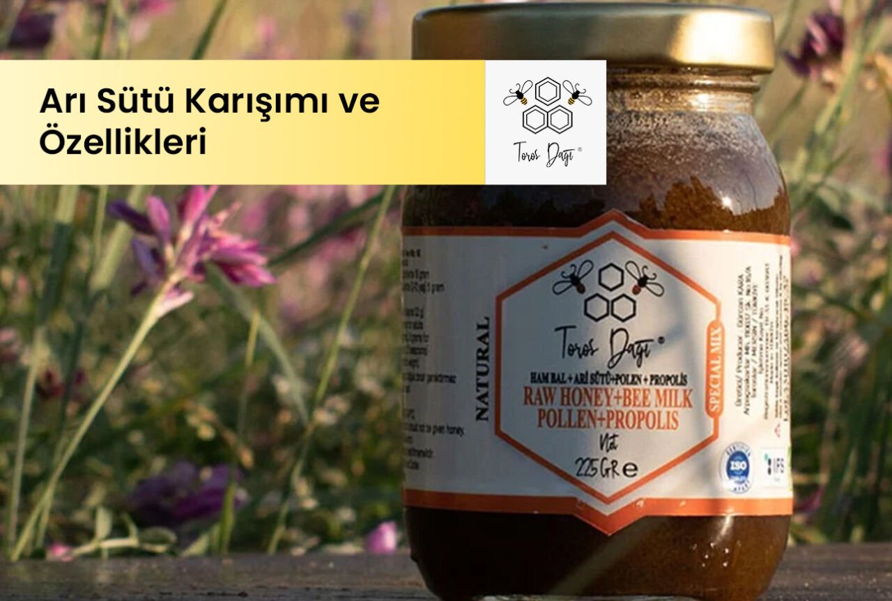 Arı Sütü Karışımı Nedir ve Özellikleri 