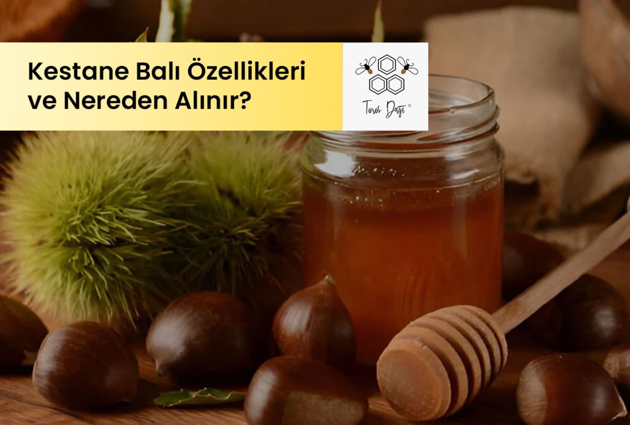 Kestane Balı Özellikleri ve Nereden Alınır?