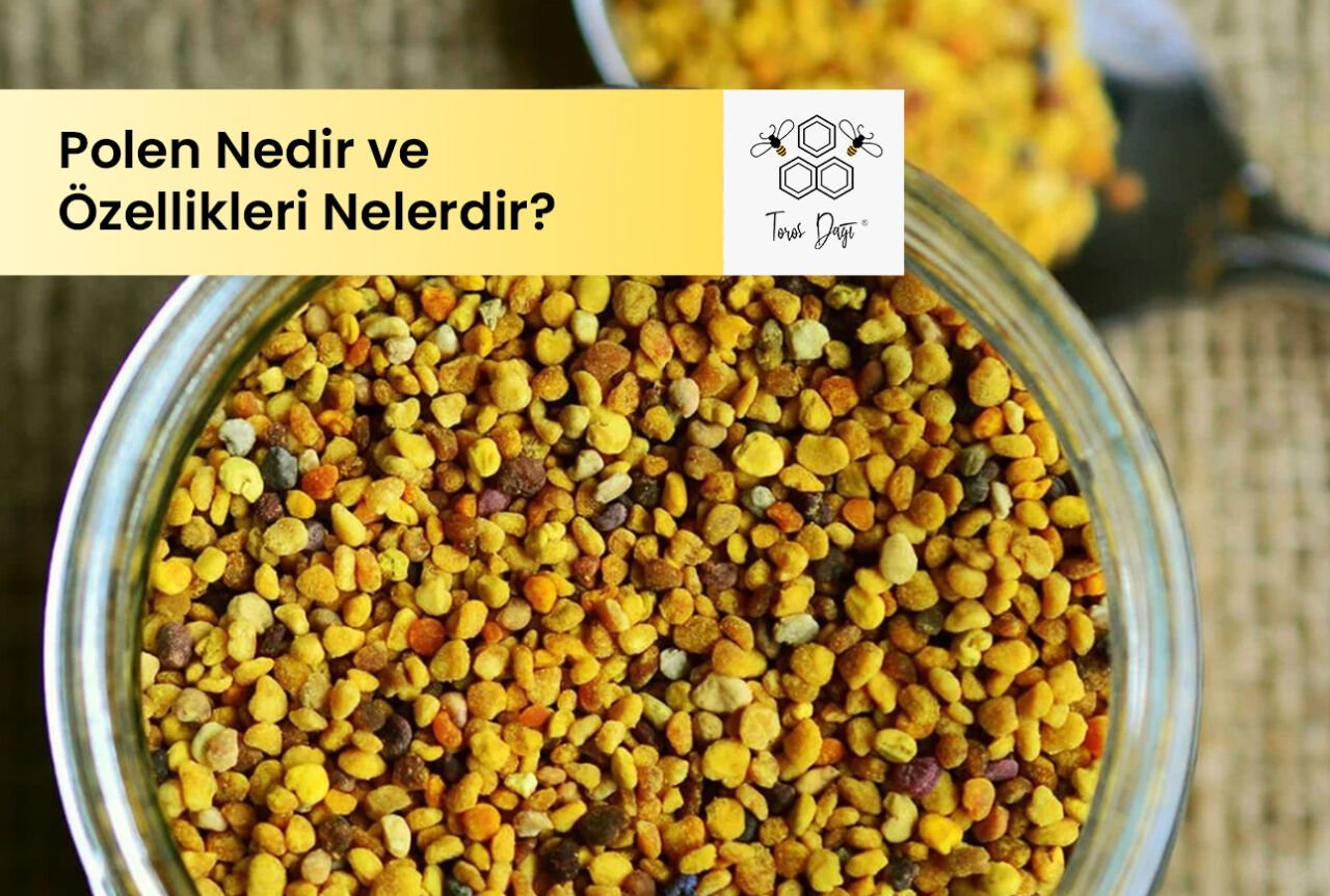 Polen Nedir ve Özellikleri Nelerdir?