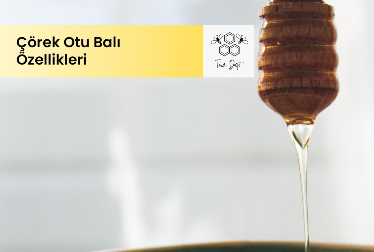 Çörek Otu Balı Özellikleri ve Nasıl Tüketilir?