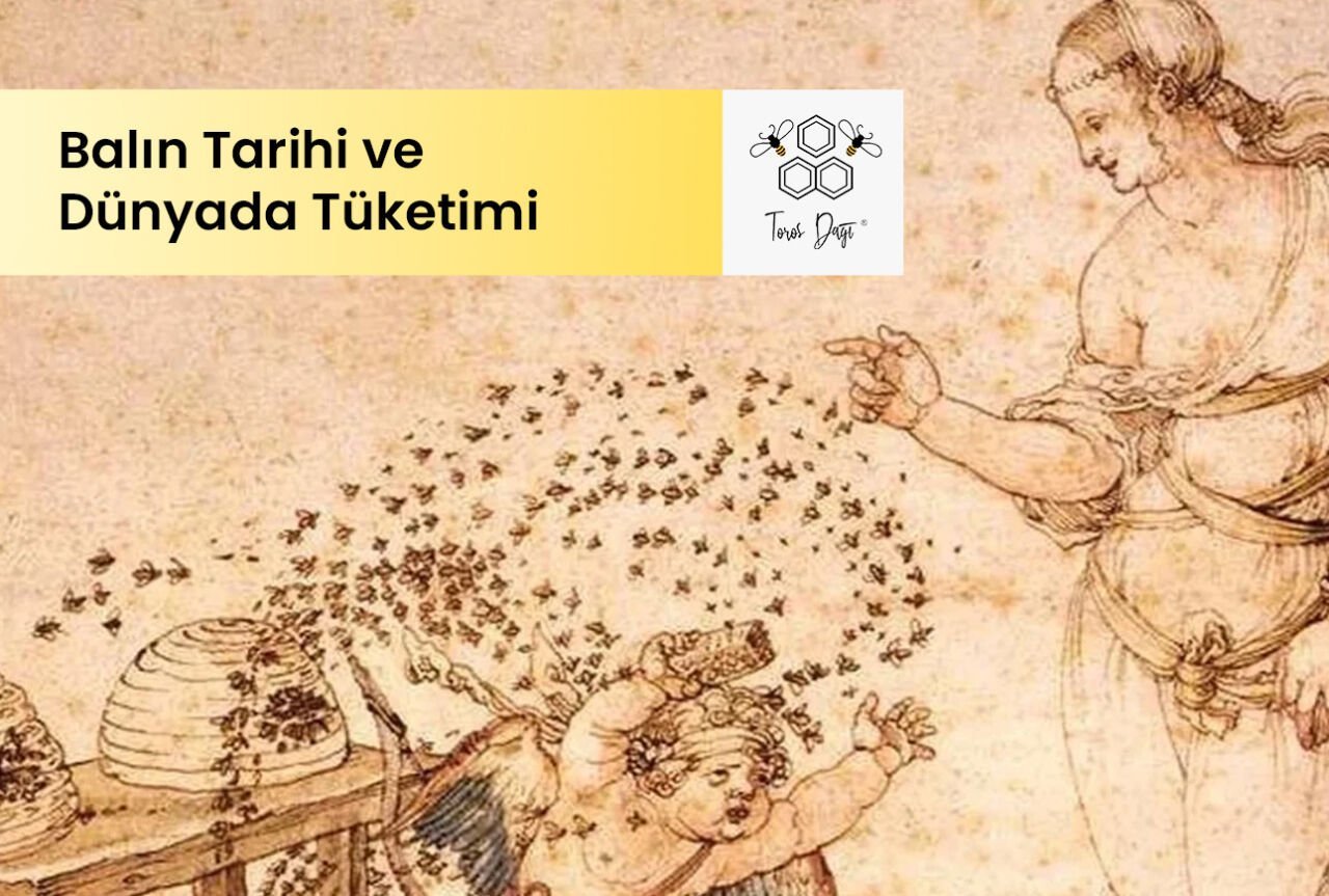 Balın Tarihi ve Dünyada Tüketimi