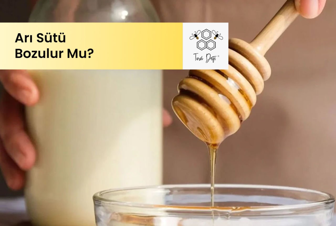 Arı Sütü Bozulur mu?