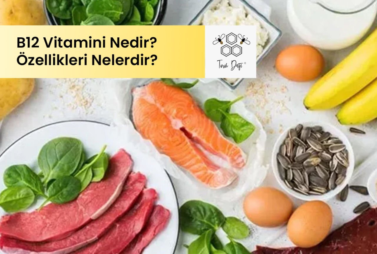 B12 Vitamini Nedir ve Önemi