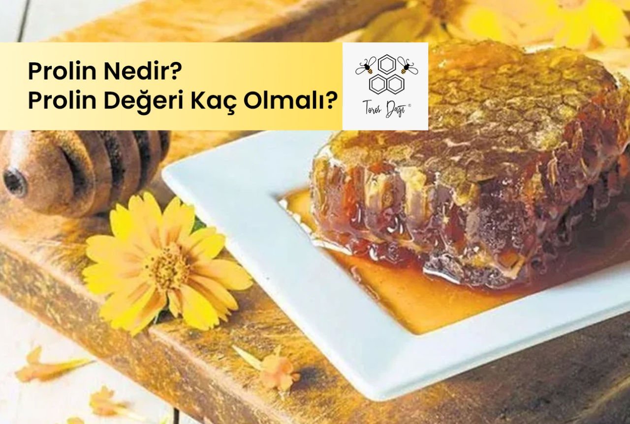 Prolin Nedir? Balda Prolin Değeri Kaç Olmalı?