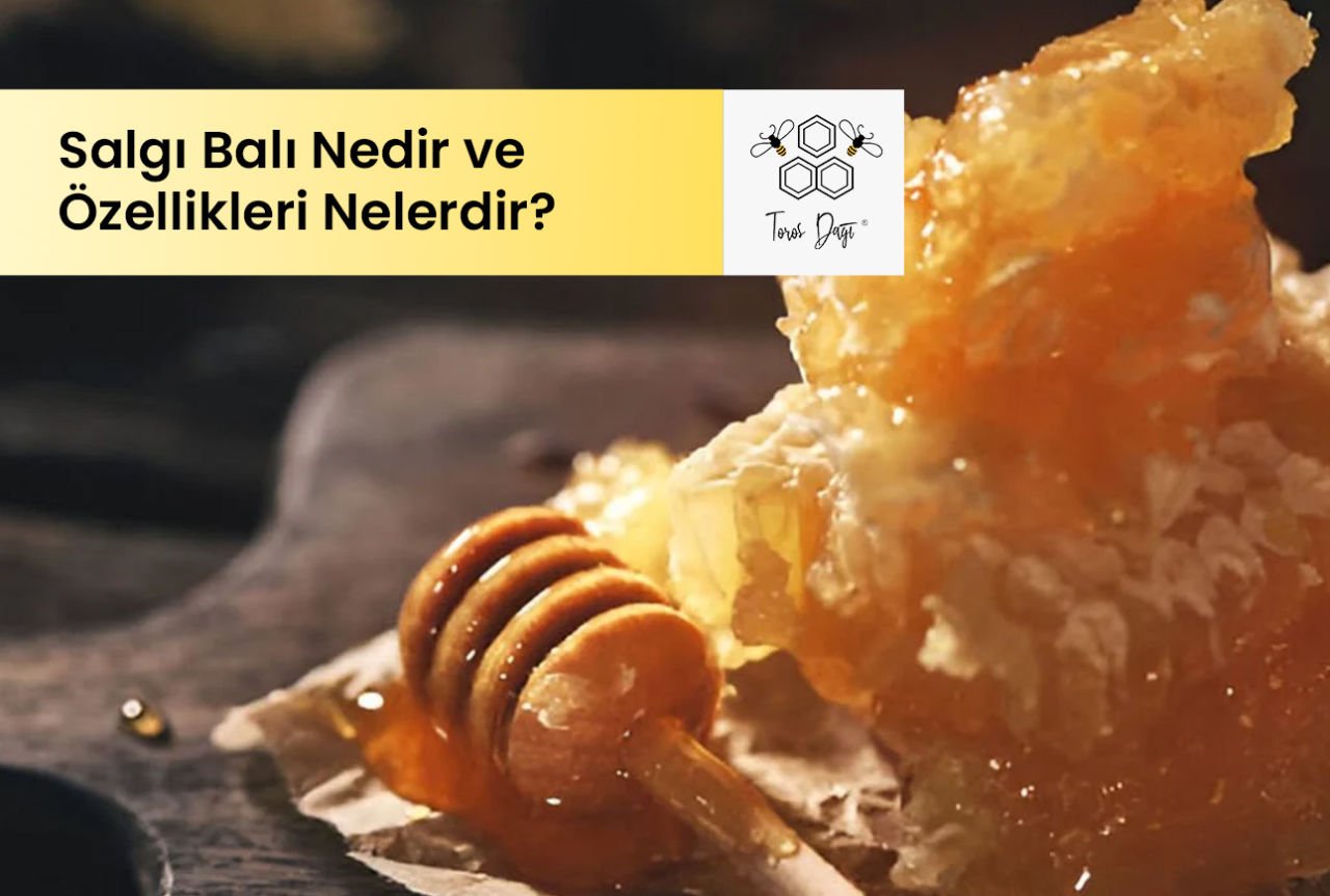 Salgı Balı Nedir ve Özellikleri Nelerdir? 