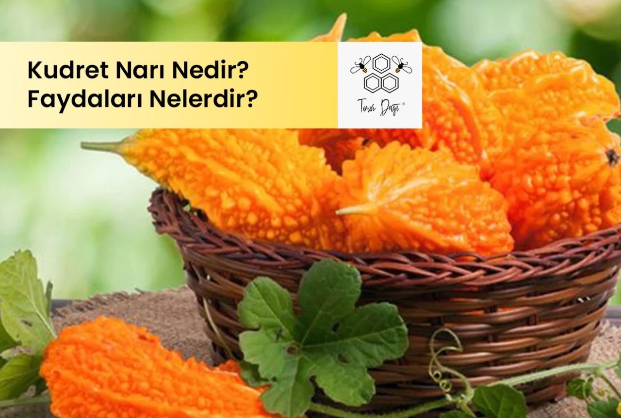 Kudret Narı Nedir ve Faydaları Nelerdir?