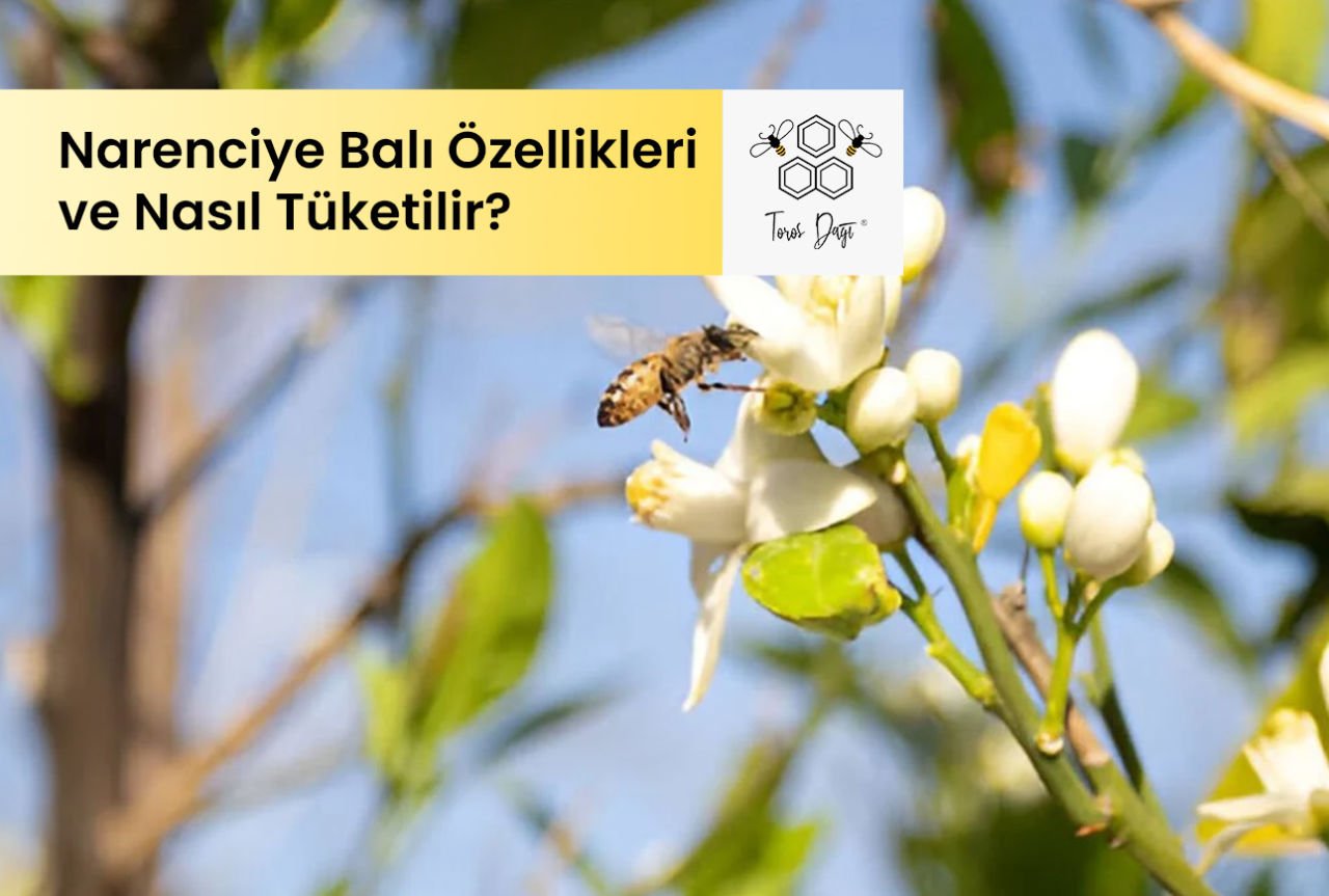 Narenciye Balı Özellikleri ve Nasıl Tüketilir?