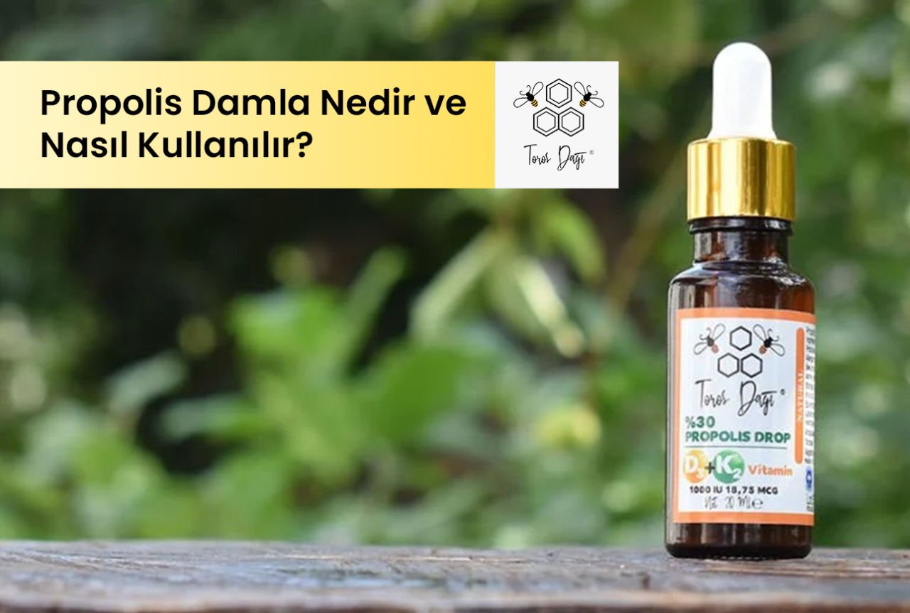Propolis Damla Nedir ve Nasıl Kullanılır?