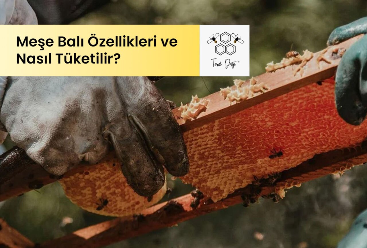 Meşe Balı Özellikleri ve Nasıl Tüketilir?