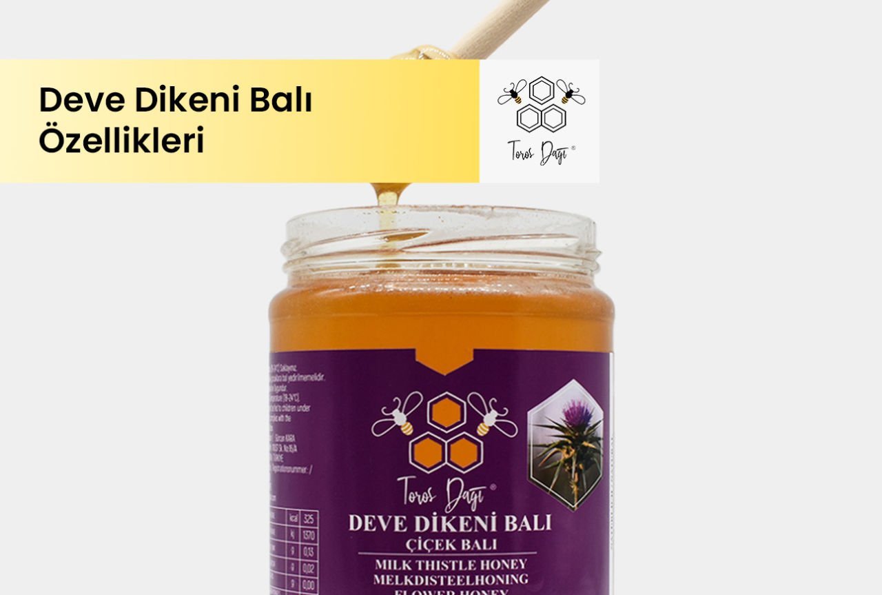 Deve Dikeni Balı Özellikleri ve Nereden Alınır?