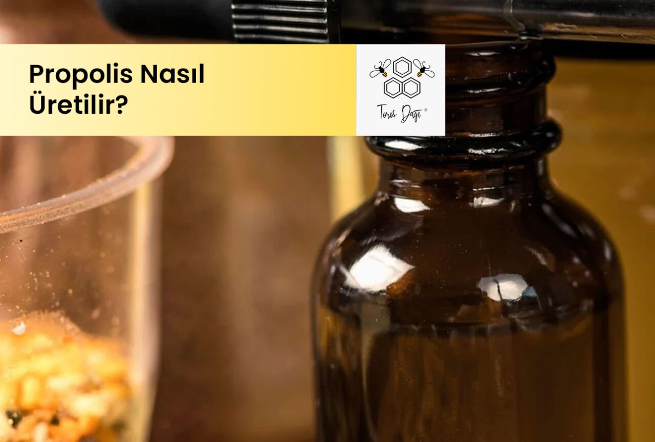 Propolis Nasıl Üretilir?