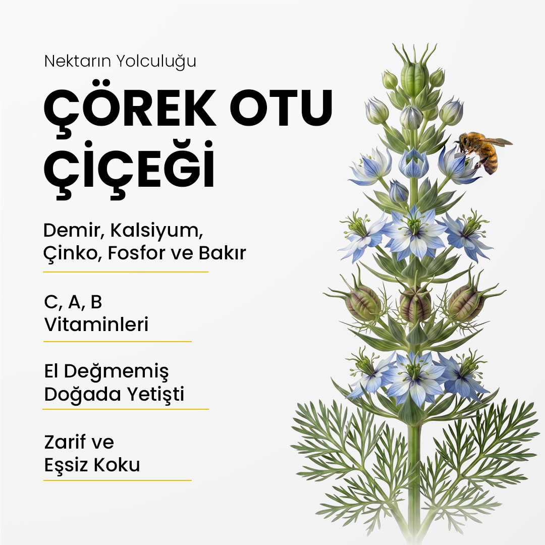 Toros Dağı Çörek Otu Balı 400 gr